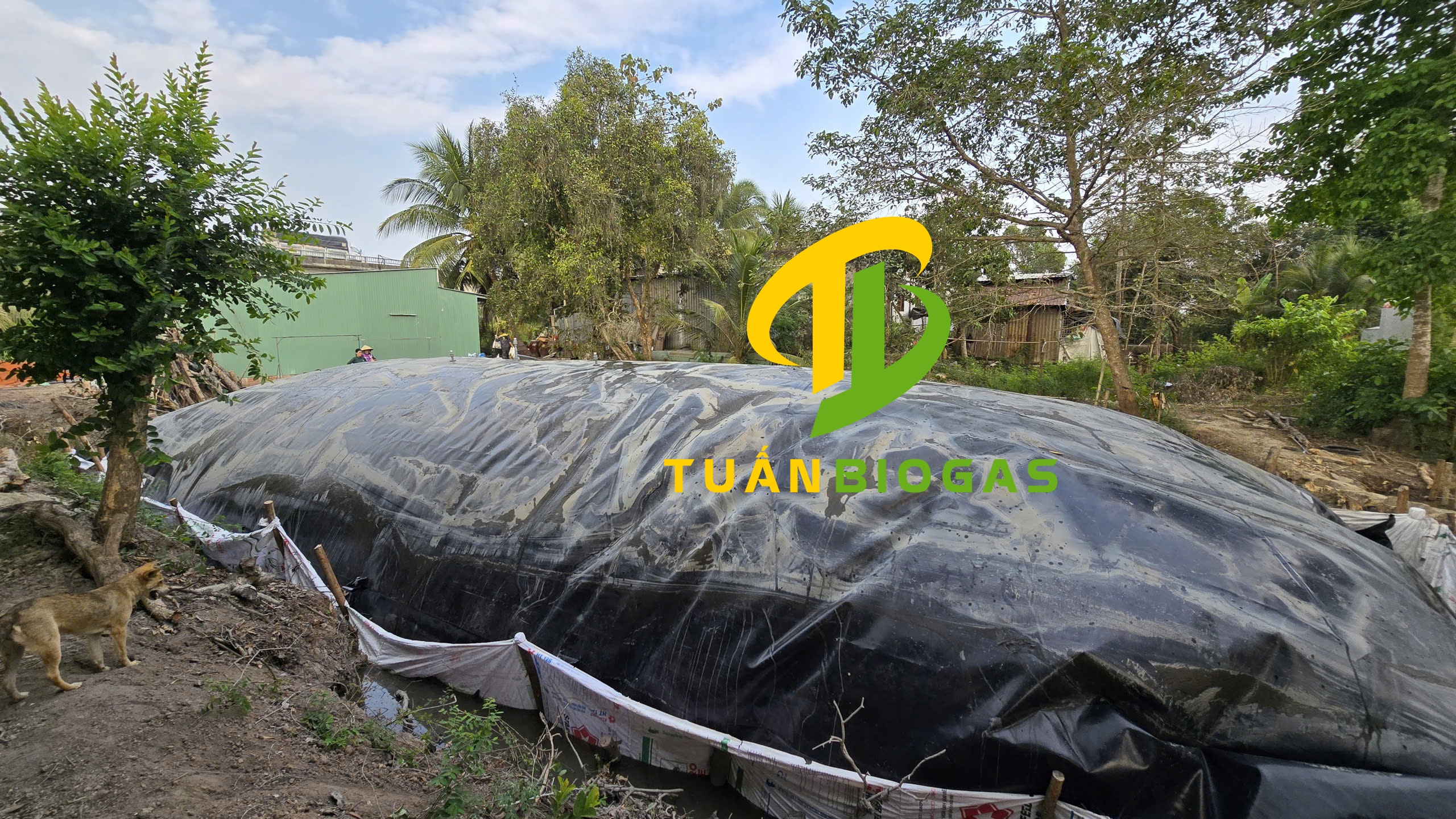 Cách Lắp Túi Biogas Chuẩn Kỹ Thuật: Kinh Nghiệm Thực Tế 5 Năm Của Tuấn Biogas
